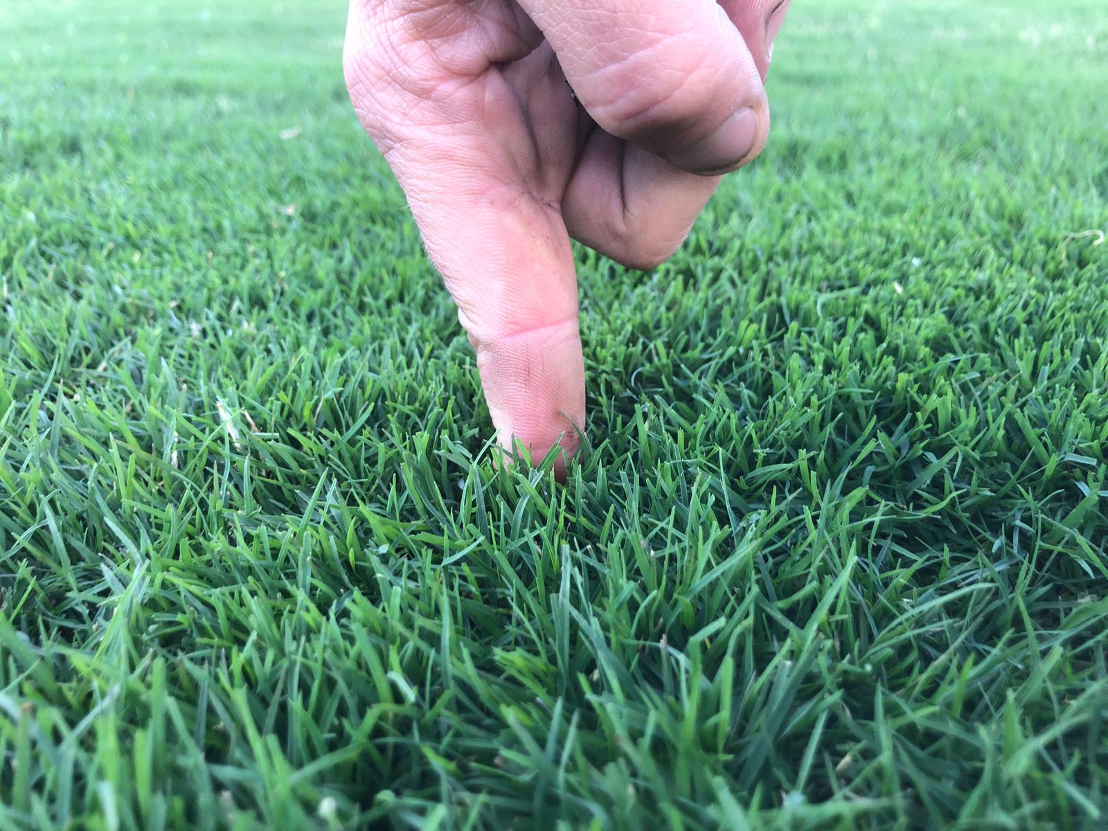 PHOTO-2025-04-18-18-20-11