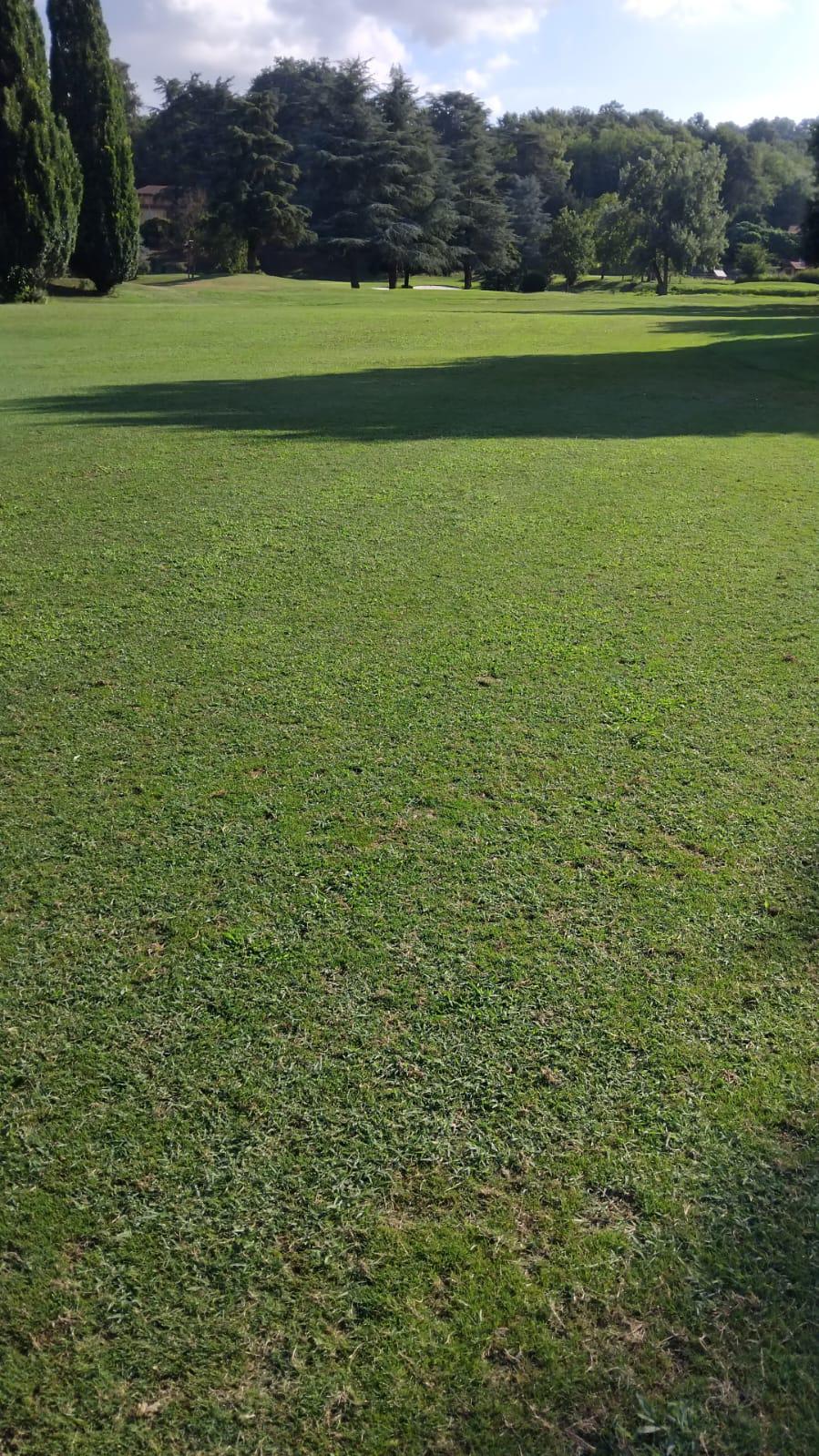 PHOTO-2025-07-23-07-02-32