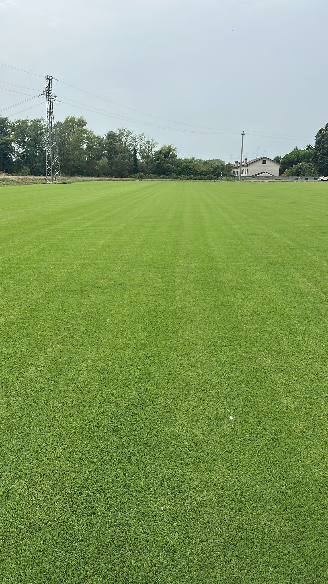 PHOTO-2025-08-06-13-45-20