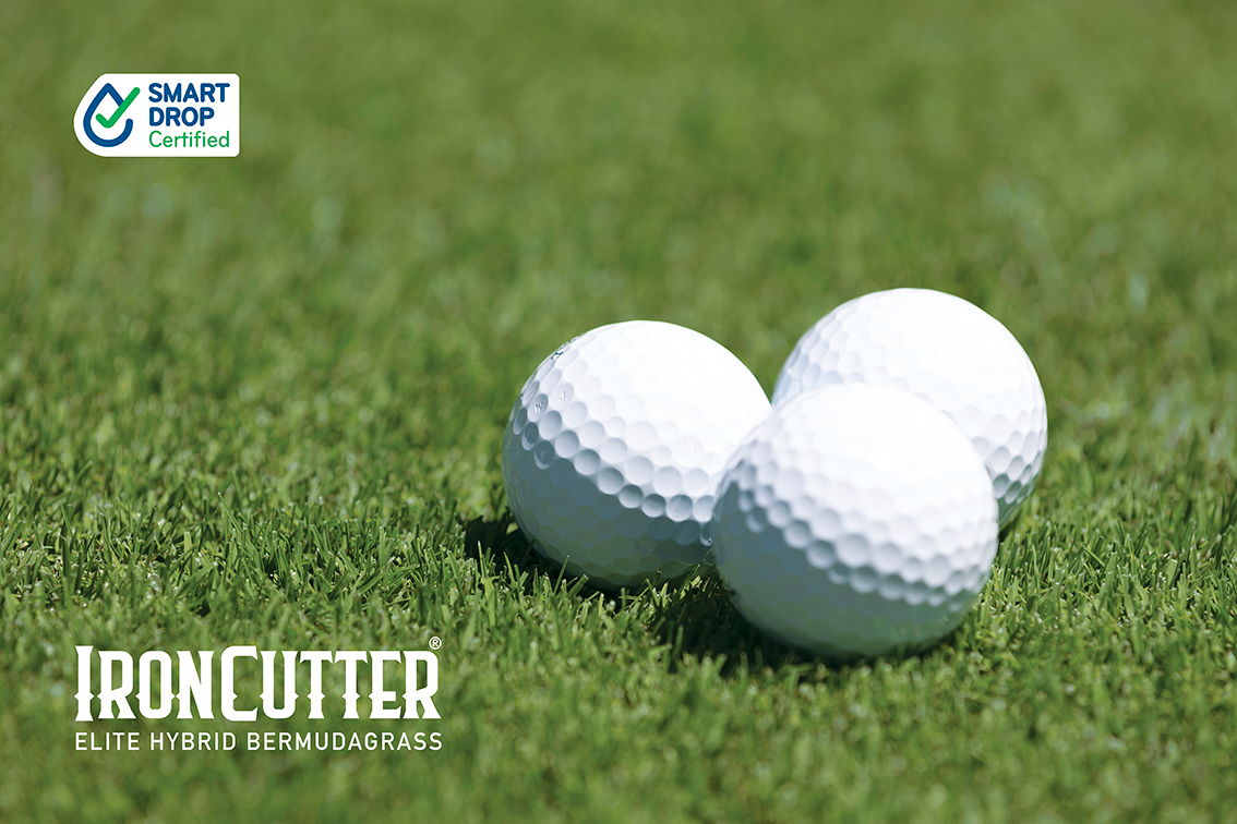 golf_ball_logo iron cutter turf zoomed in